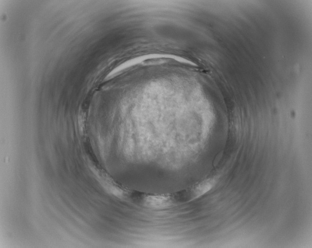 X0000054440139200508191621