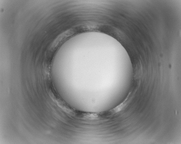 X0000054440140200508191621