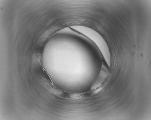 X0000054440141200508191621