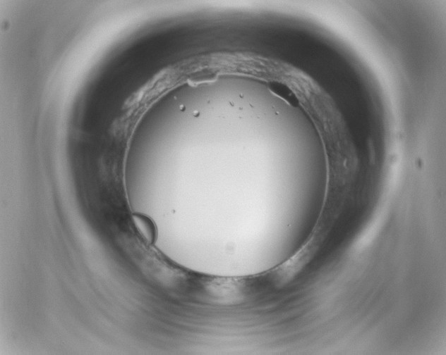 X0000054440142200508191621