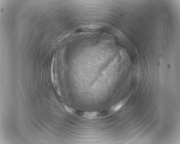 X0000054440143200508191621