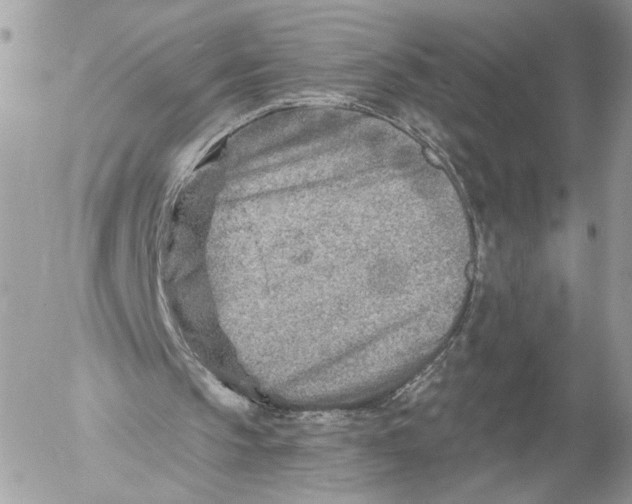 X0000054440145200508191620