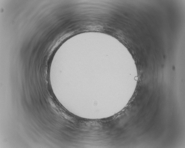 X0000054440146200508191620