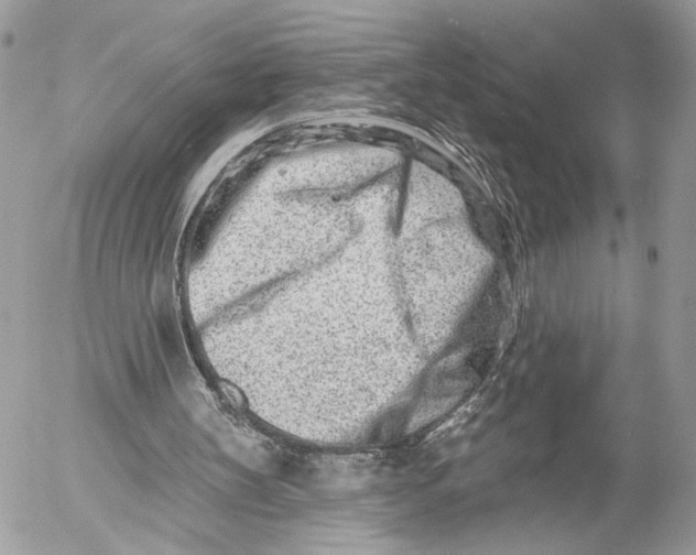 X0000054440147200508191620