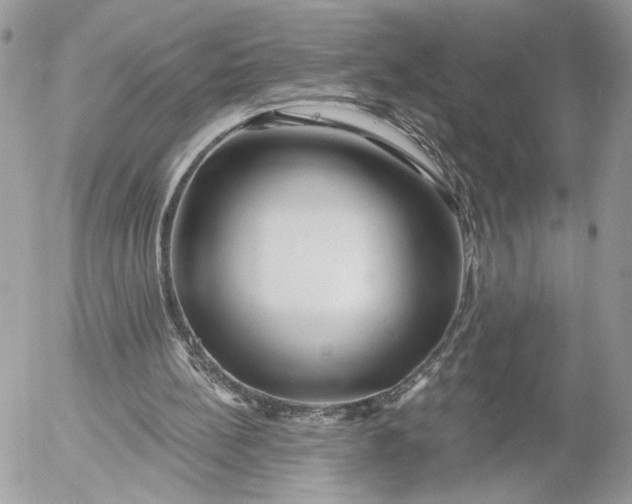 X0000054440148200508191620