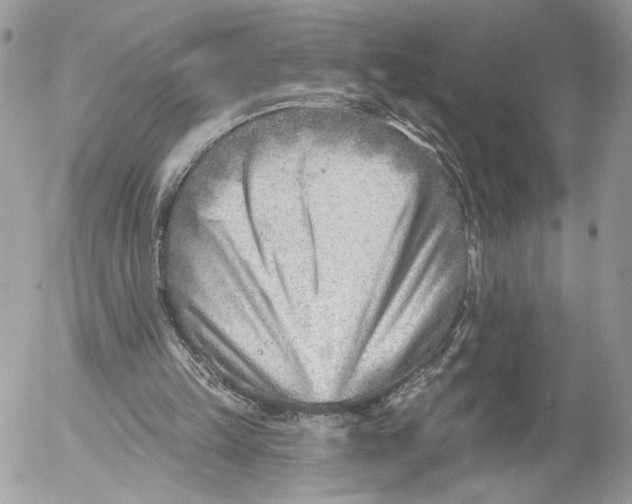 X0000054440149200508191620