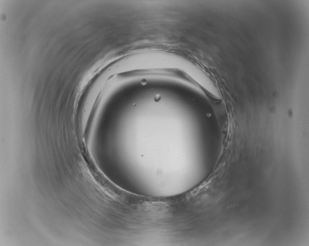 X0000054440150200508191620