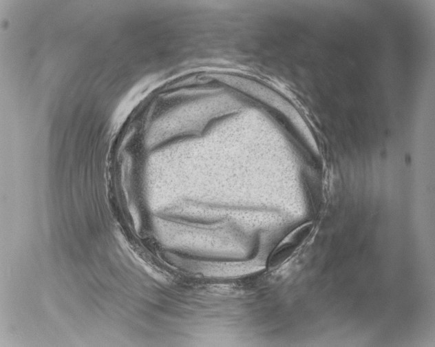 X0000054440151200508191620