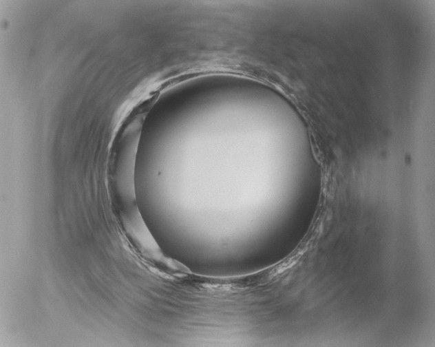 X0000054440152200508191620