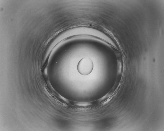 X0000054440154200508191620