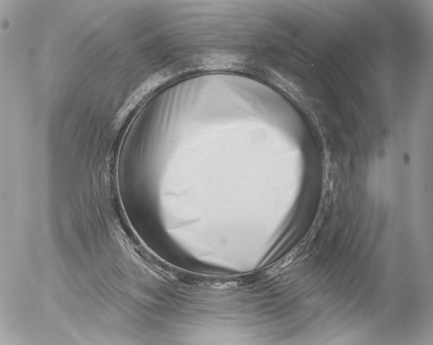 X0000054440155200508191620