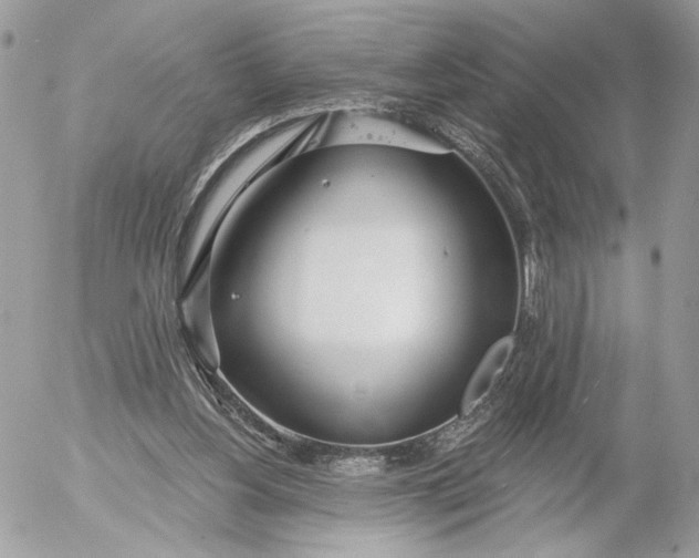 X0000054440156200508191620