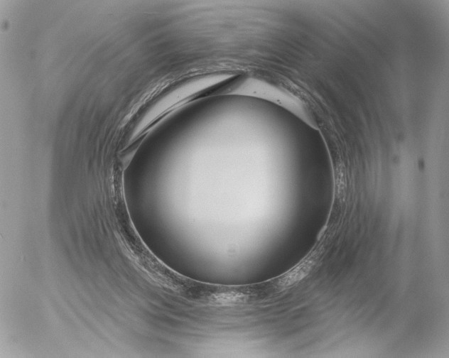 X0000054440158200508191620