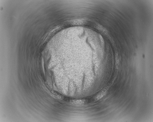 X0000054440161200508191620