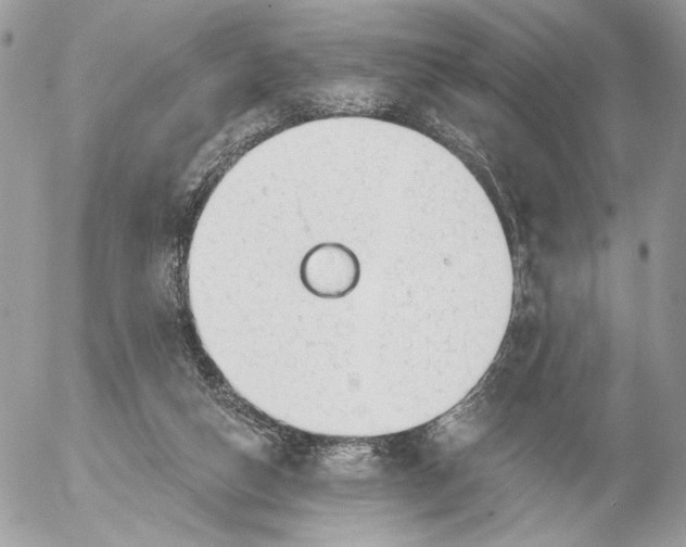 X0000054440162200508191620