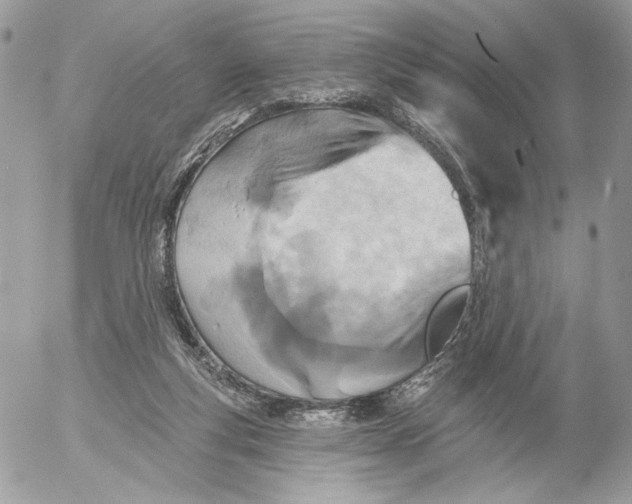 X0000054440163200508191620