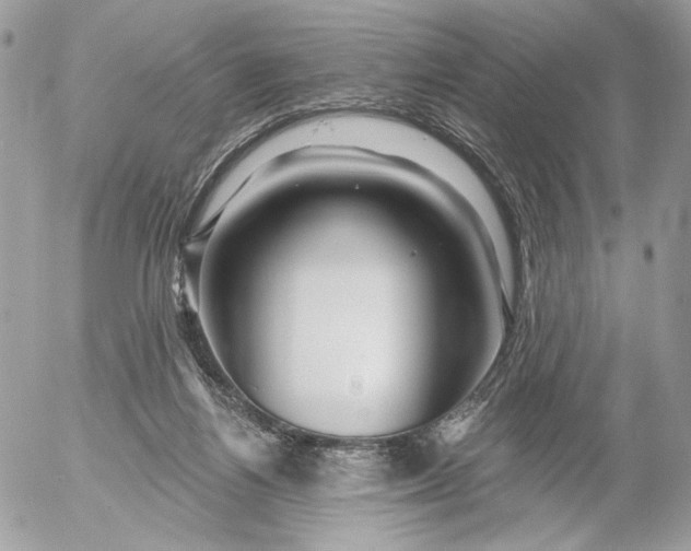 X0000054440164200508191620