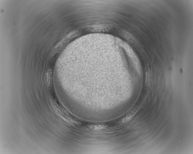 X0000054440165200508191620