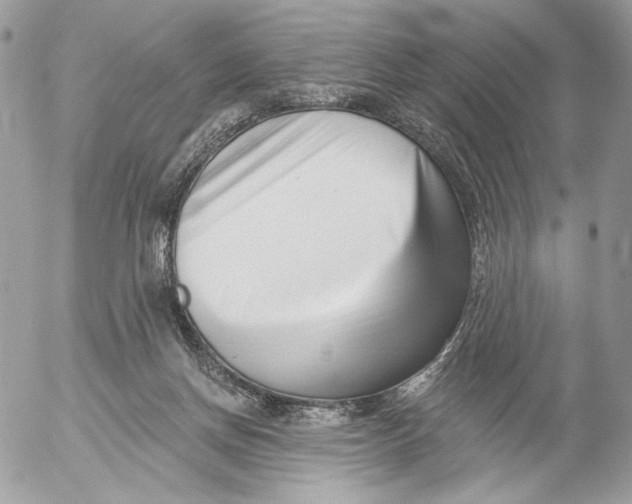 X0000054440166200508191620