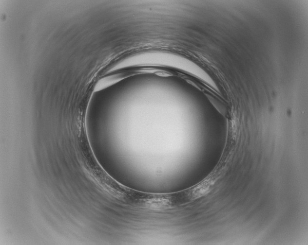 X0000054440168200508191620