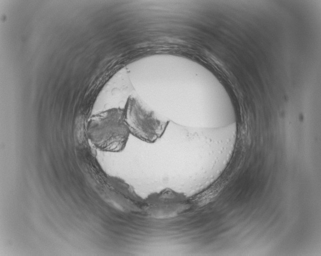 X0000054440169200508191620