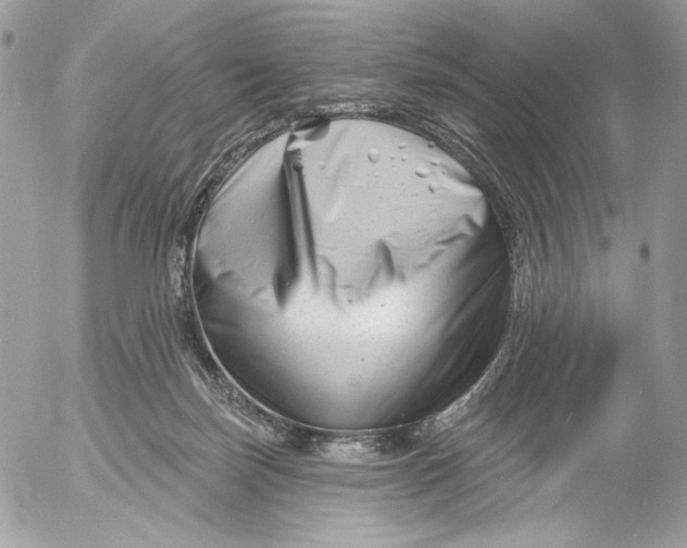 X0000054440171200508191620