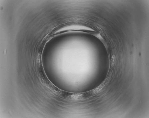 X0000054440172200508191620