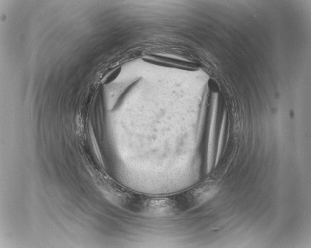 X0000054440173200508191620