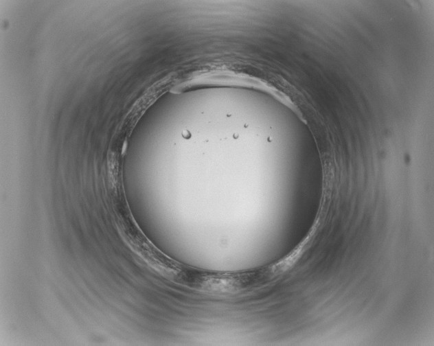 X0000054440174200508191620