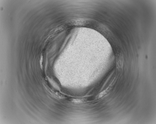 X0000054440175200508191620