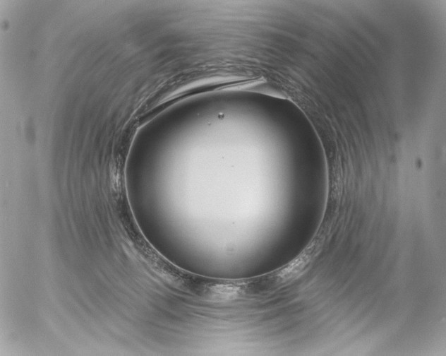 X0000054440176200508191620