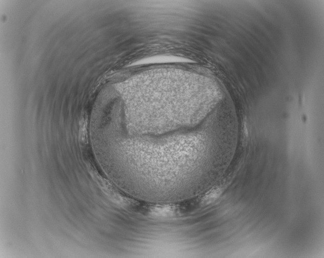 X0000054440177200508191620