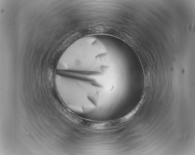 X0000054440178200508191620