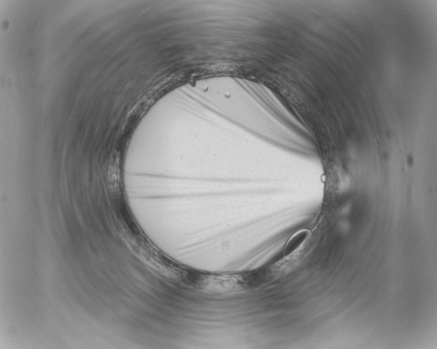 X0000054440179200508191620