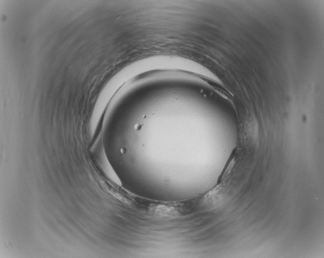 X0000054440180200508191620