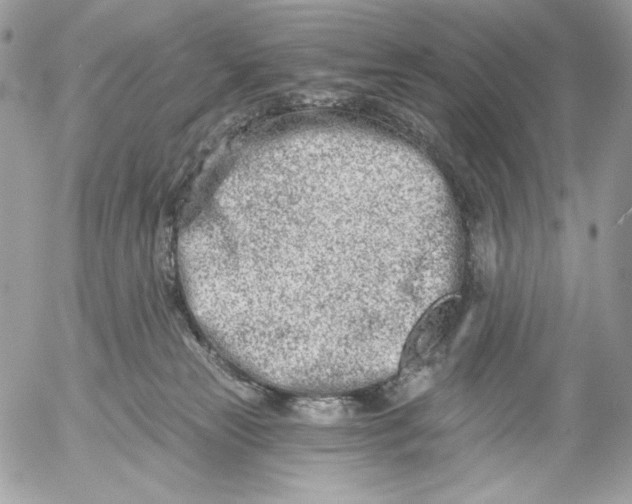 X0000054440181200508191620