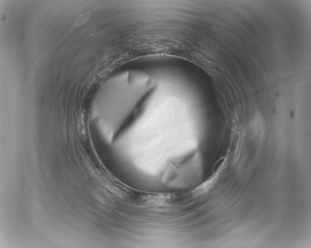 X0000054440182200508191620