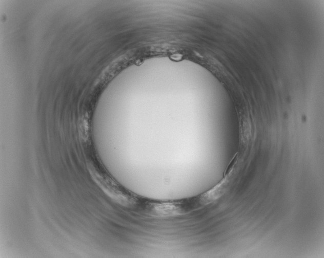 X0000054440183200508191620