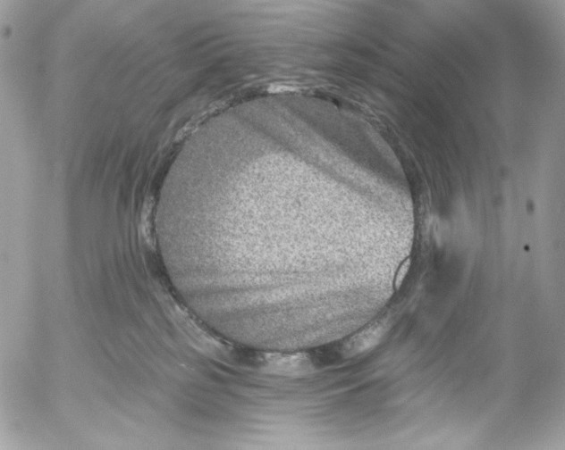 X0000054440185200508191620