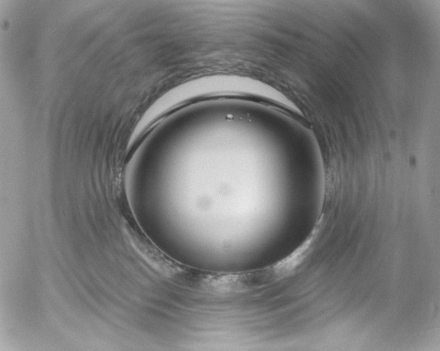 X0000054440186200508191621