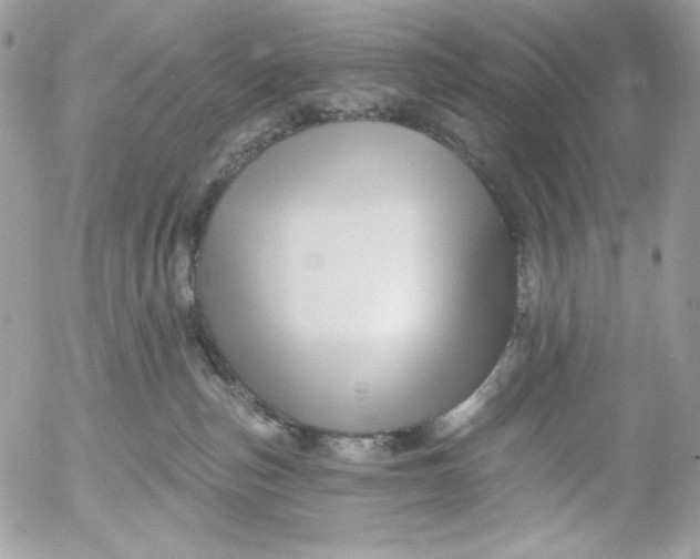 X0000054440187200508191621