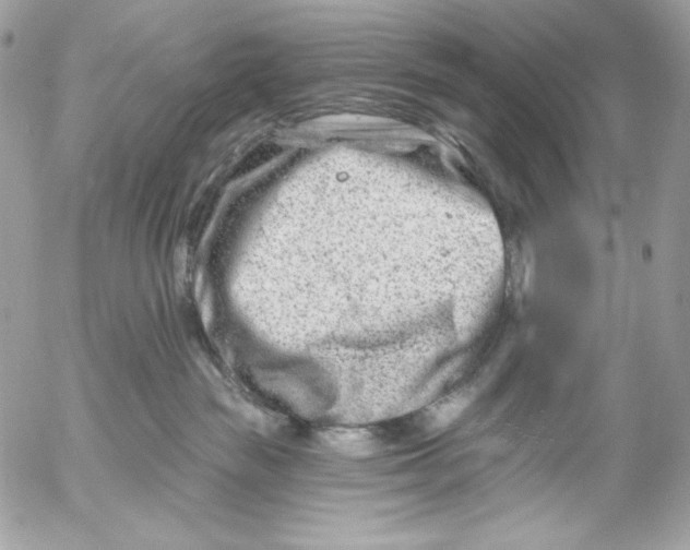 X0000054440189200508191621