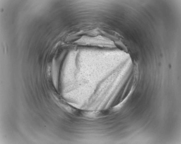 X0000054440191200508191621