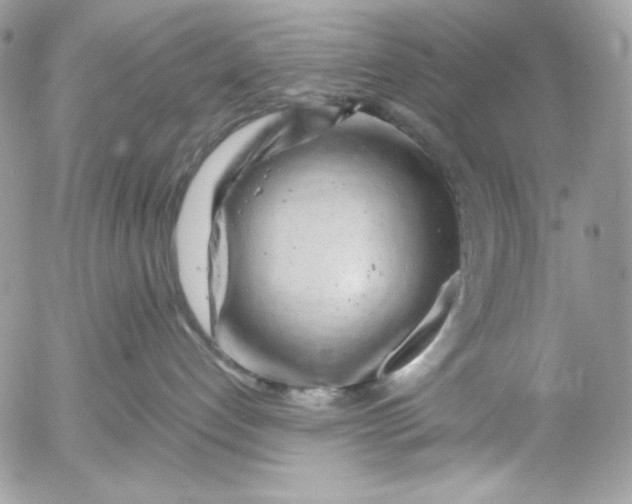 X0000054440192200508191621