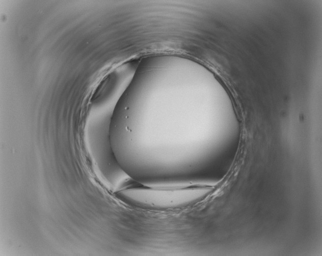 X0000054440193200508191620