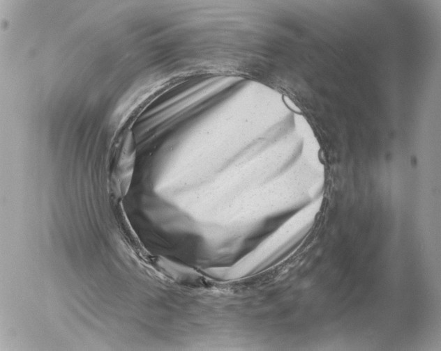 X0000054440194200508191620