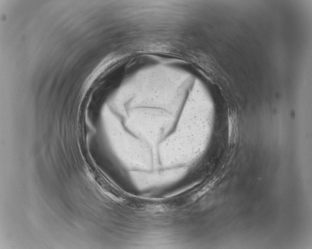 X0000054440195200508191620