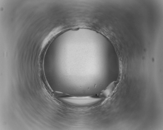 X0000054440198200508191620