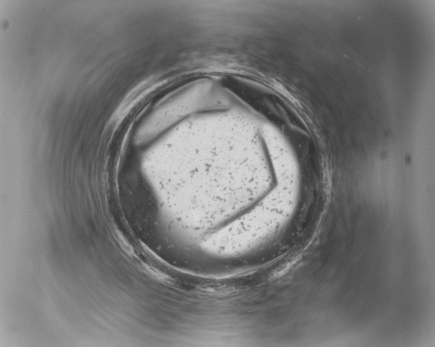 X0000054440199200508191620