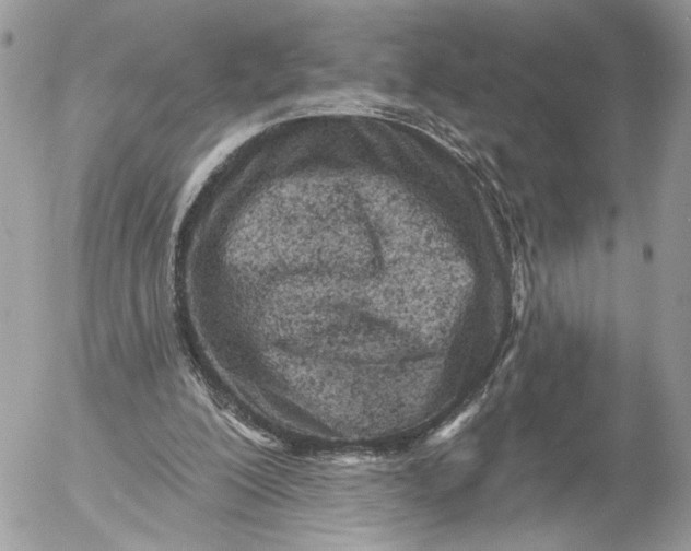 X0000054440200200508191620